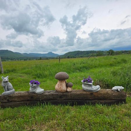 Wataha Pod Basztami - Wadera - Domki Caloroczne Radkow Extérieur photo
