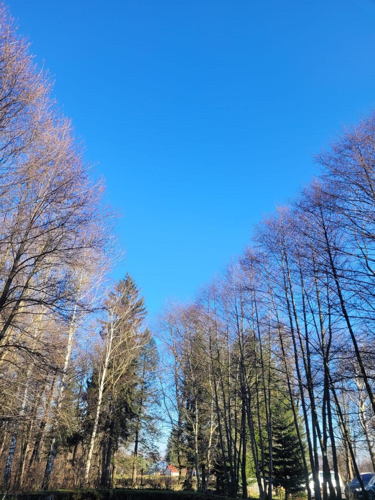 Wataha Pod Basztami - Wadera - Domki Caloroczne Radkow Extérieur photo